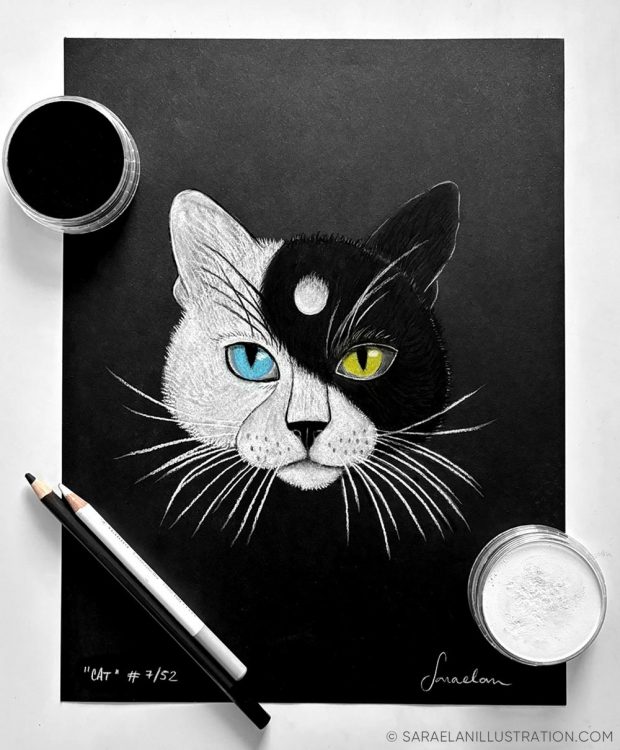 Disegno gatto Yin e Yang con muso metà bianco e metà nero come il simbolo tao
