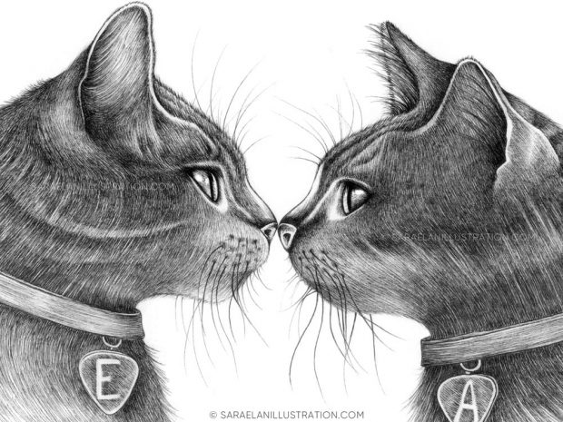 Disegno personalizzato gatti che si baciano
