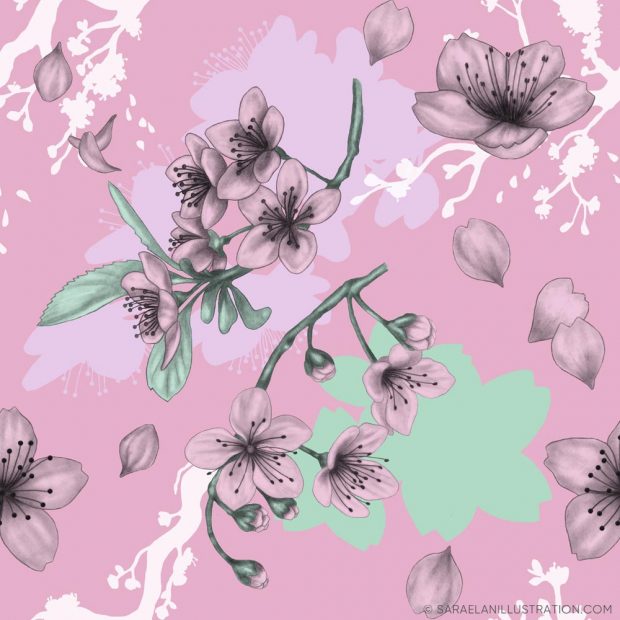 Pattern personalizzato con disegno di fiori di ciliegio sakura su sfondo rosa - pattern personalizzati creati per Hasu Lab Design